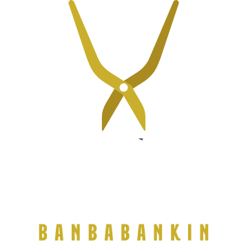 伴場板金 | 屋根・雨漏り解決
