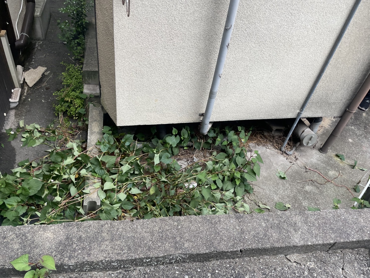 動物等が入ってくるから板金で壁補修