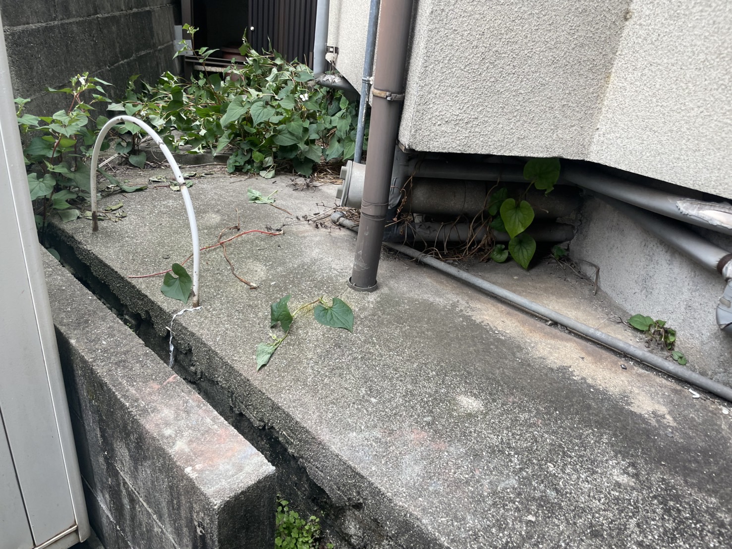 動物等が入ってくるから板金で壁補修