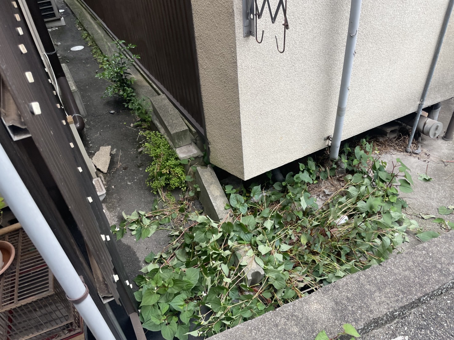 動物等が入ってくるから板金で壁補修