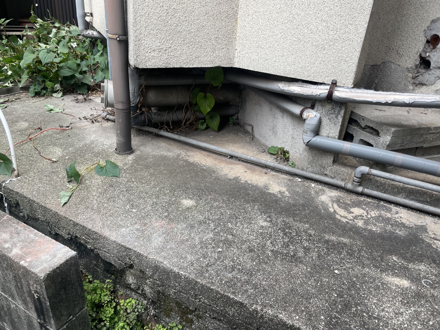 動物等が入ってくるから板金で壁補修